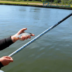 Cresta - Vaste Hengel Identity Accelerate Pro Whip - Cresta 13 Cresta - Vaste Hengel Identity Accelerate Pro Whip - Cresta -Visuitrusting Winkel 1590479701