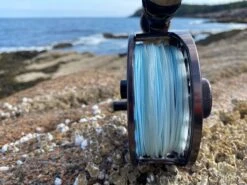 Cortland Compact Intermediate Blitz Fly Line 17 Cortland Compact Intermediate Blitz Fly Line -Visuitrusting Winkel Cortland Compact intermediate Blitz Fly Line D340020 XX img 4376 1200x